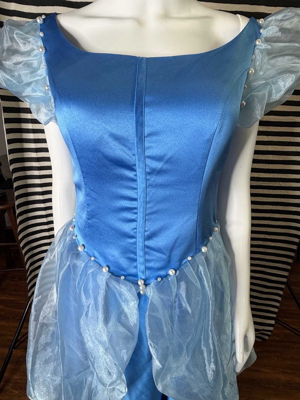Cinderella costume